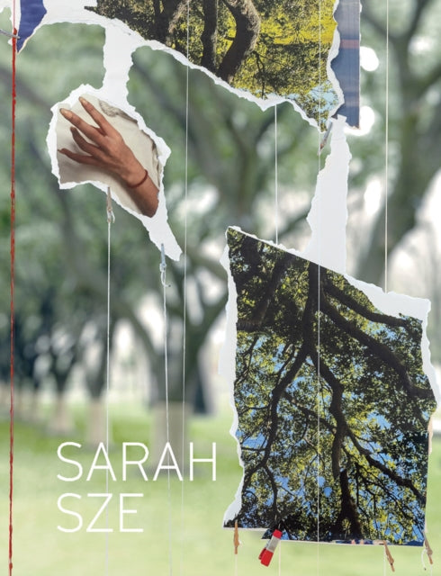 Sarah Sze cover