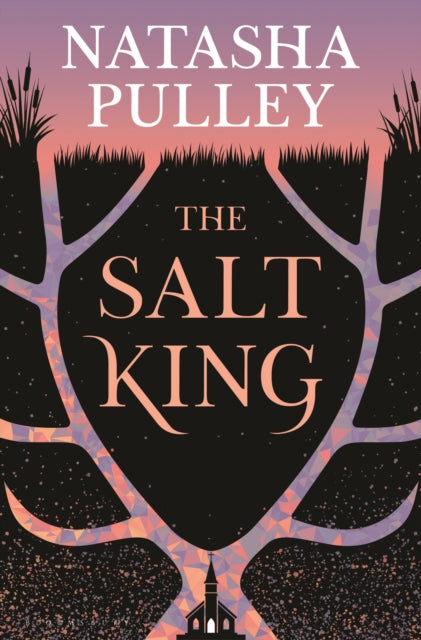 Salt King cover