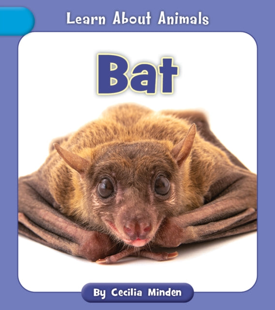Bat cover