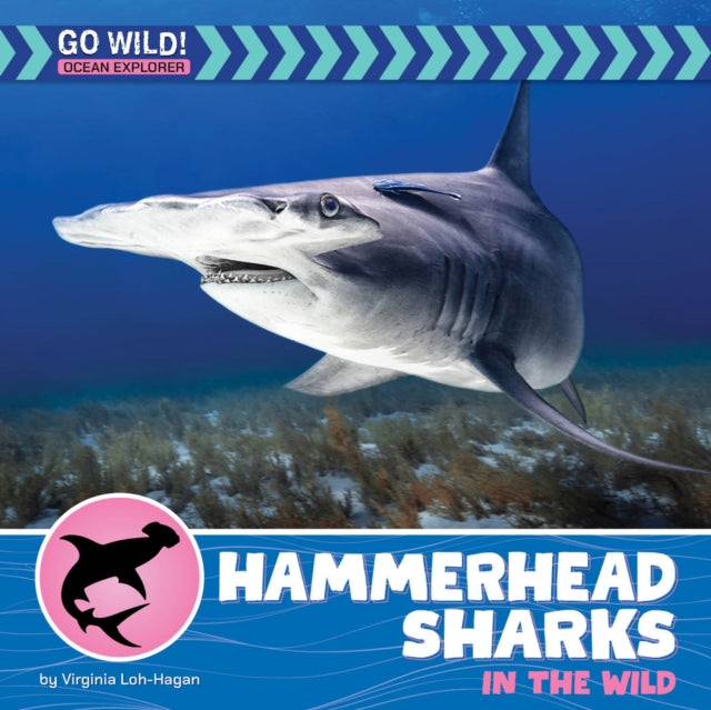 Hammerhead Sharks in the Wild cover