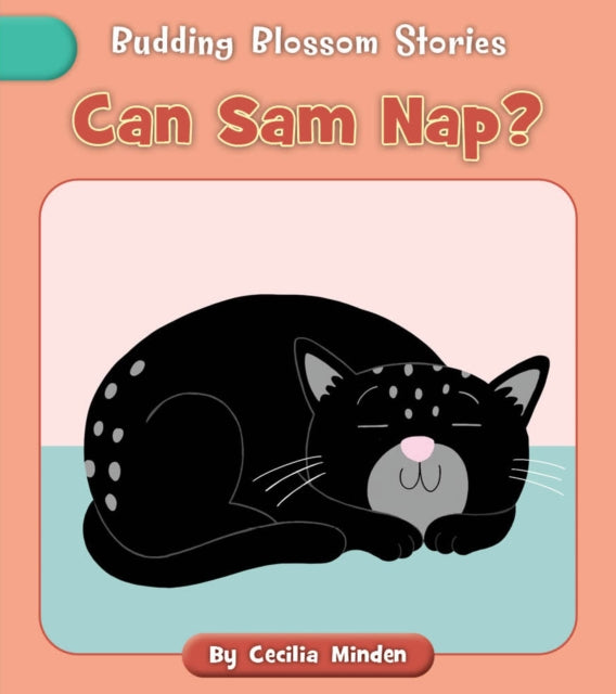Can Sam Nap? cover