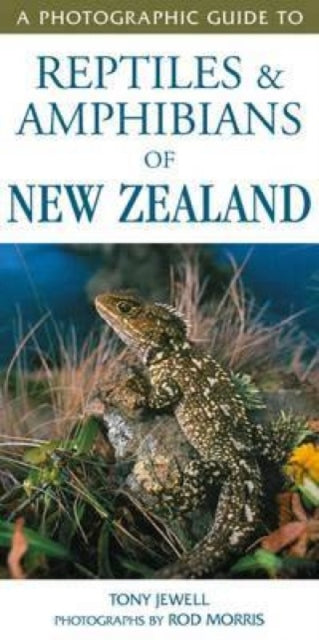 Photographic Guide to Reptiles & Amphibians of New Zealand cover