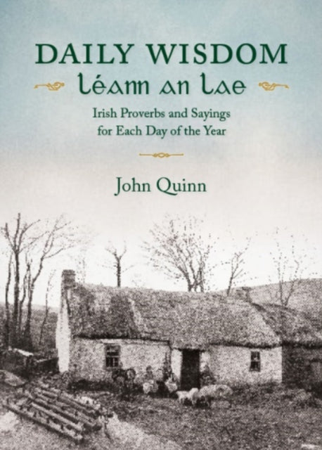 Daily Wisdom · Leann an Lae cover