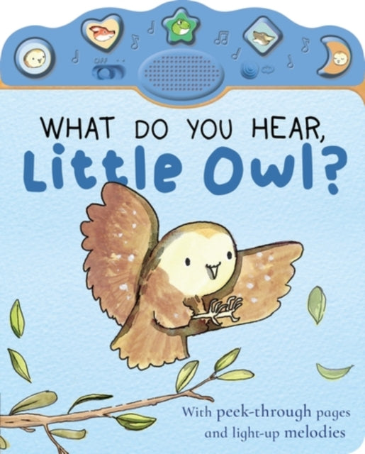 What Do You Hear, Little Owl? cover