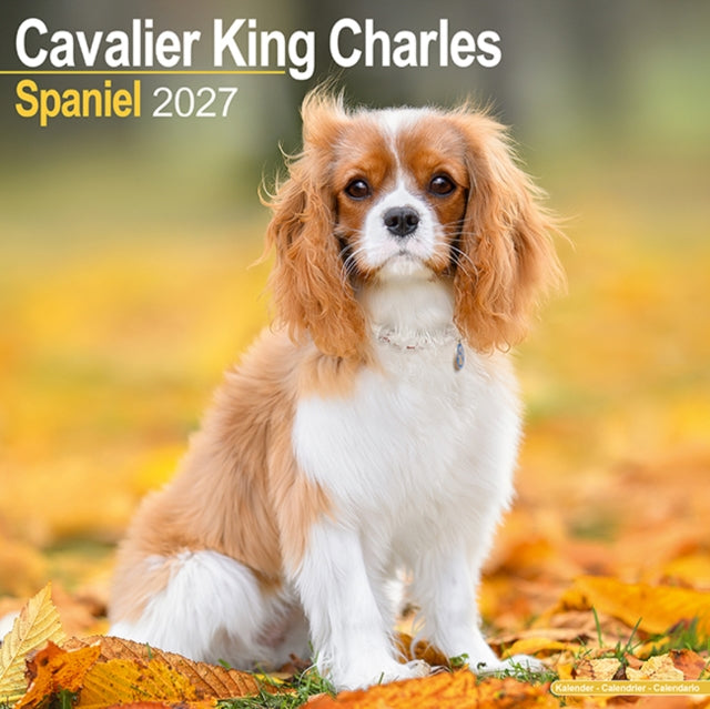 Cavalier King Charles Spaniel Wall cover