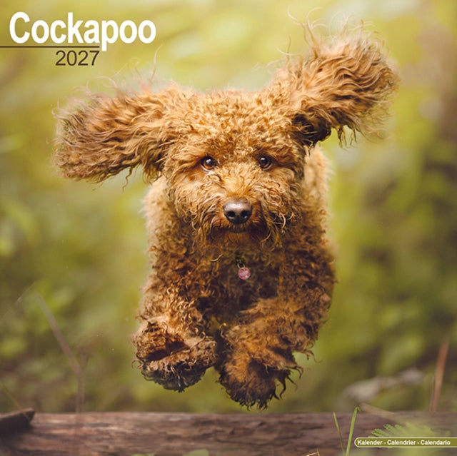 Cockapoo Wall cover