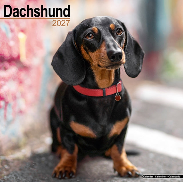 Dachshund Wall cover