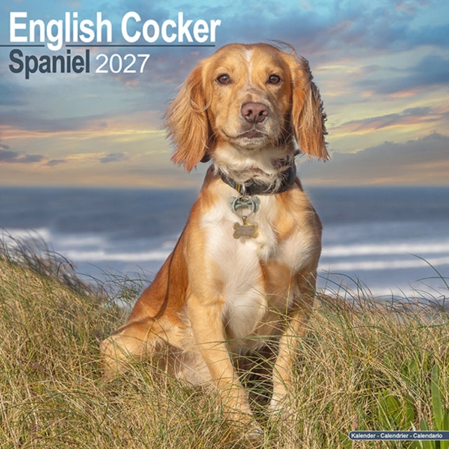 English Cocker Spaniel Wall cover