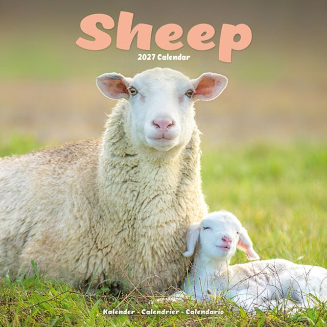 Sheep Wall cover