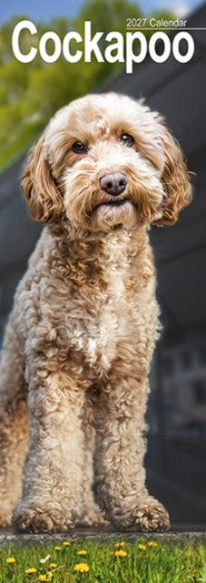 Cockapoo Slim cover