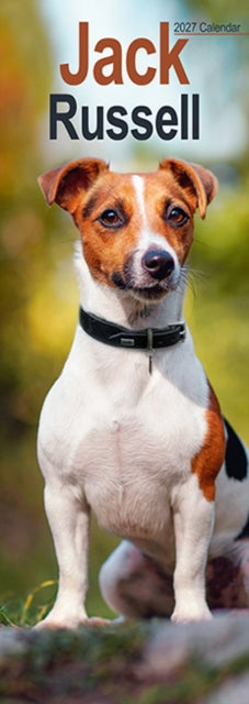 Jack Russell Slim cover