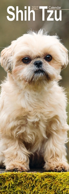 Shih Tzu Slim cover