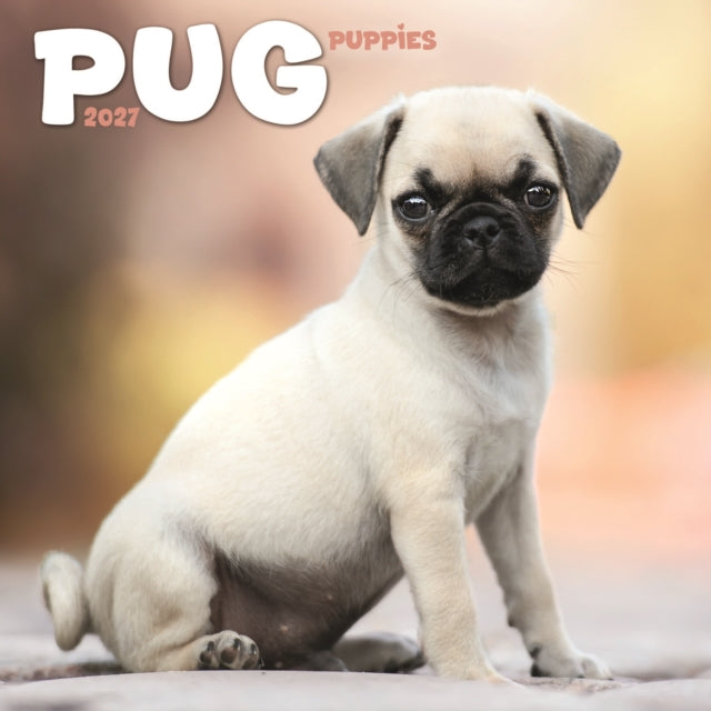 Pug Puppies Mini cover