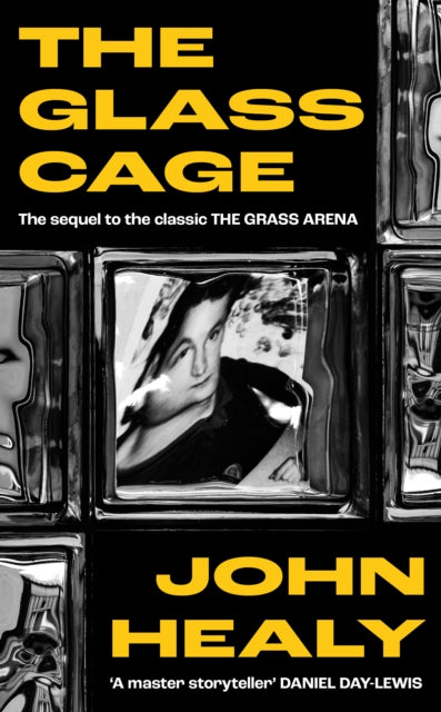 The Glass Cage cover