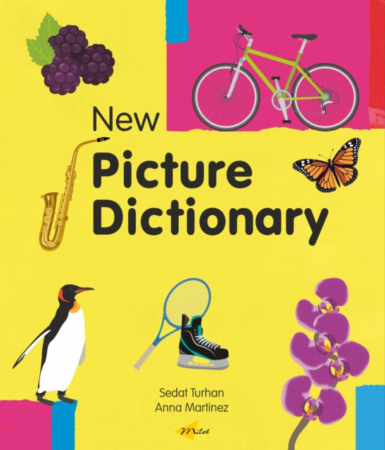 New Picture Dictionary (English) cover