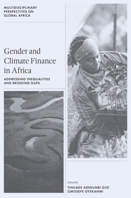 Gender and Climate Finance in Africa cover