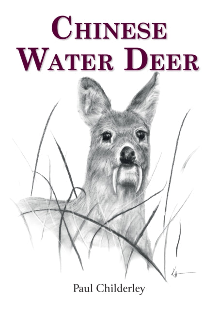 Chinese Water Deer cover