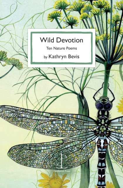 Wild Devotion cover
