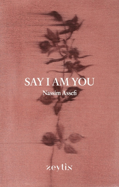 Say I Am You cover