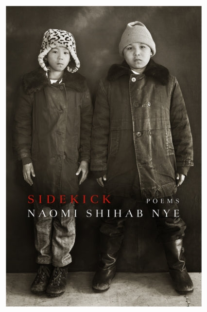 Sidekick cover