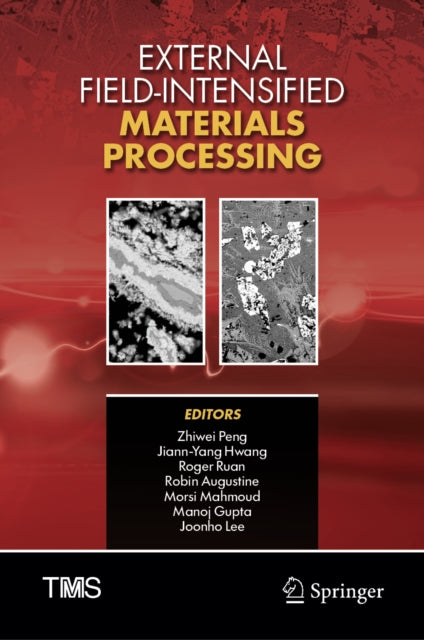 External Field-Intensified Materials Processing cover