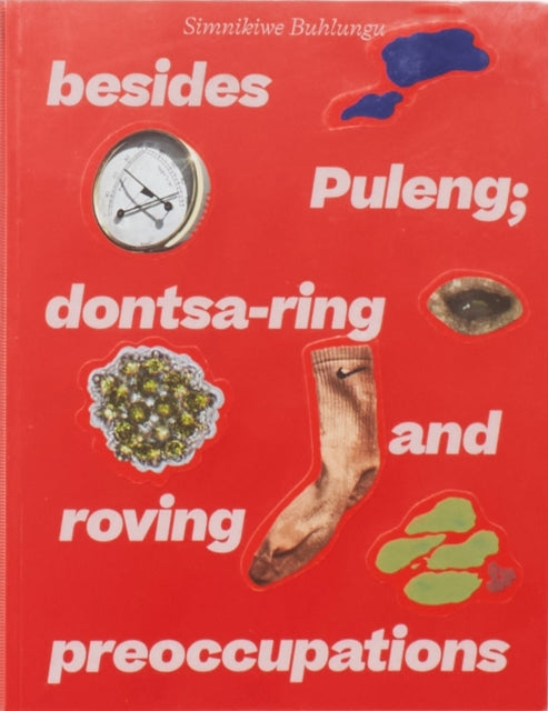 Simnikiwe Buhlungu: besides Puleng; dontsa-ring and roving preoccupations cover