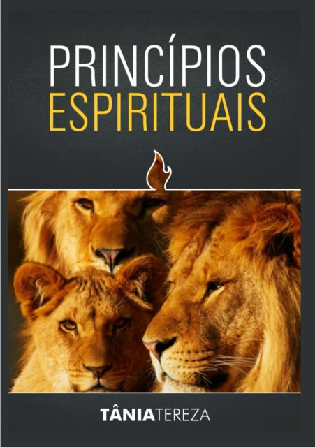 Principios Espirituais cover