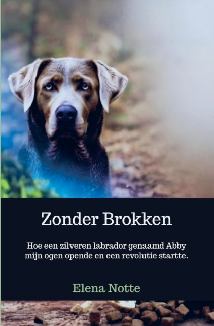 Zonder Brokken cover