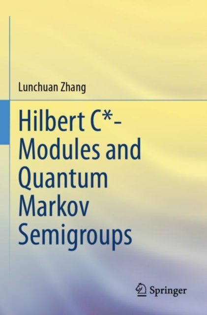 Hilbert C*- Modules and Quantum Markov Semigroups cover