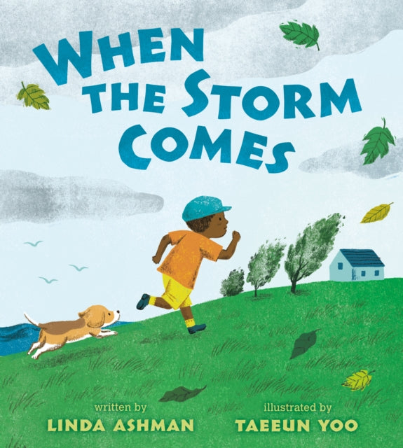 When the Storm Comes cover