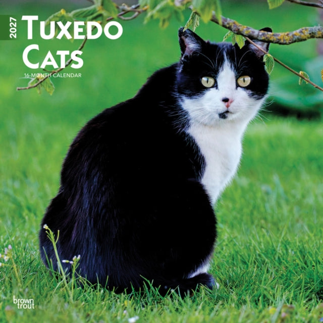 Tuxedo Cats 2027 12 X 24 Inch (Hanging) Monthly Square Wall Calendar Plastic-Free cover