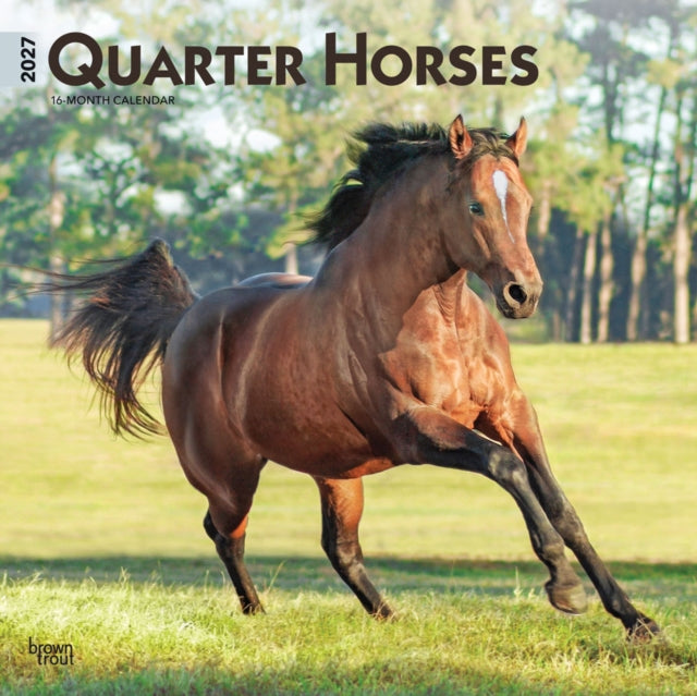 Quarter Horses 2027 12 X 24 Inch (Hanging) Monthly Square Wall Calendar Plastic-Free cover