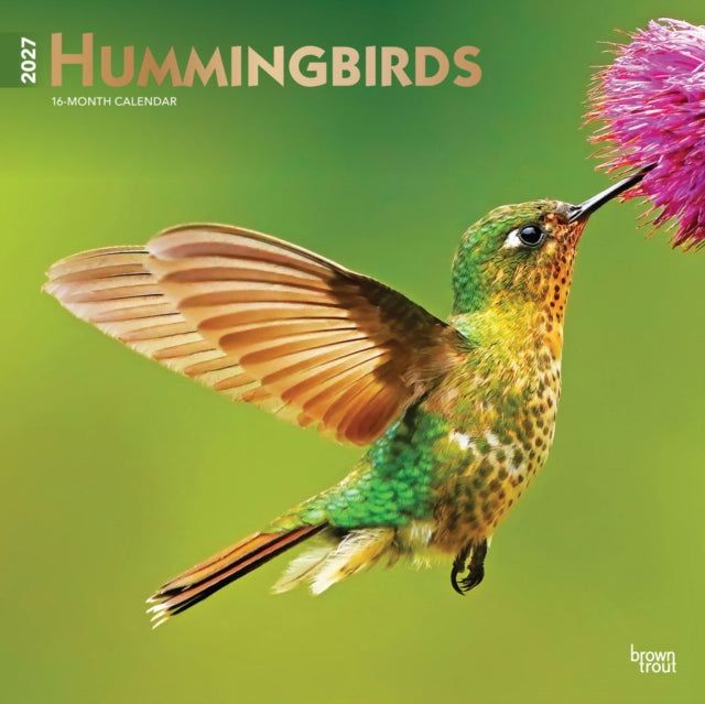 Hummingbirds | 2027 12 x 24 Inch (Hanging) Monthly Square Wall Calendar | Foil Stamped Cover | Plastic-Free | BrownTrout | Animals Wildlife cover