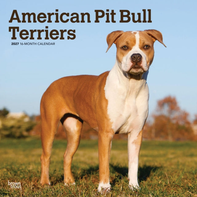 American Pit Bull Terriers 2027 12 X 24 Inch (Hanging) Monthly Square Wall Calendar Plastic-Free cover