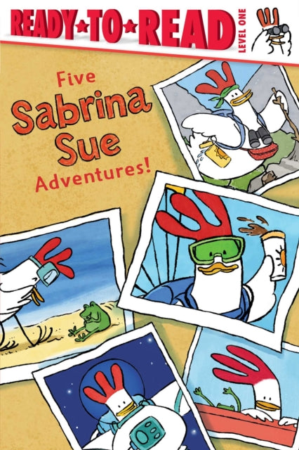 Five Sabrina Sue Adventures! cover