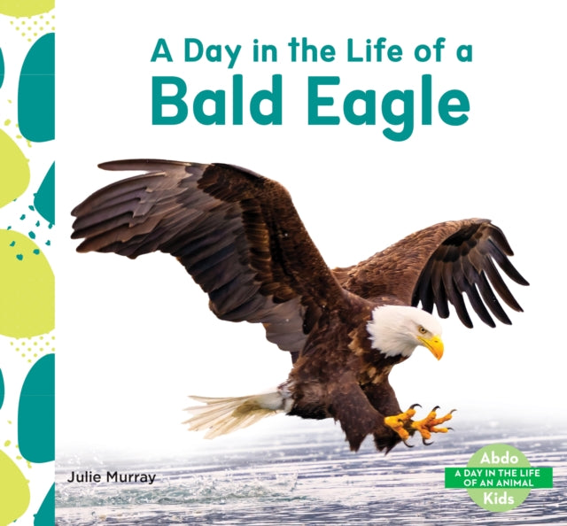 Day in the Life of a Bald Eagle cover