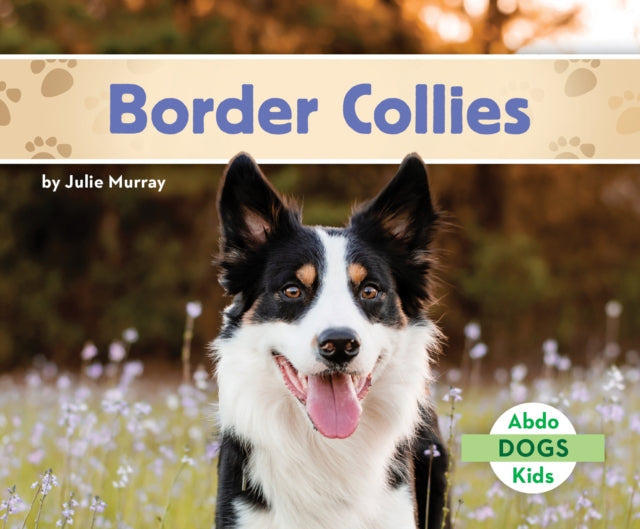 Border Collies cover