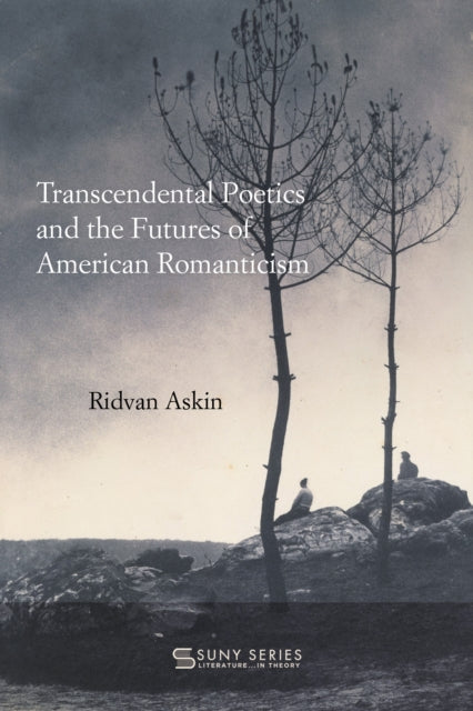 Transcendental Poetics and the Futures of American Romanticism cover