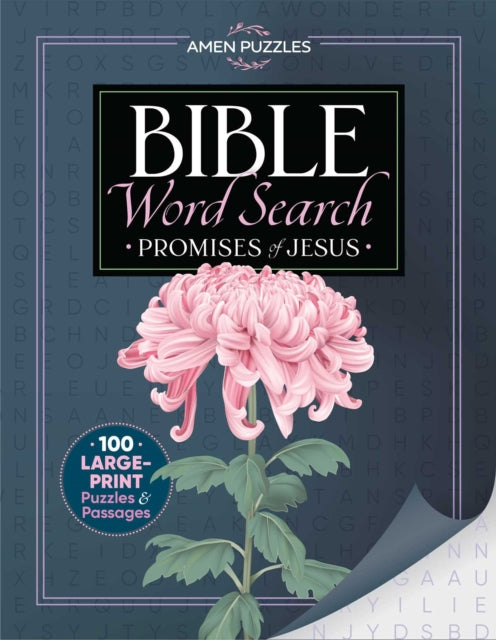 Amen Puzzles Bible Word Search cover