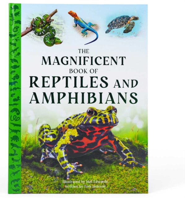 Magnificent Book of Reptiles and Amphibians cover