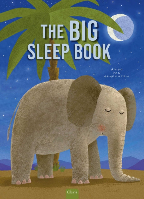 Big Sleep Book cover