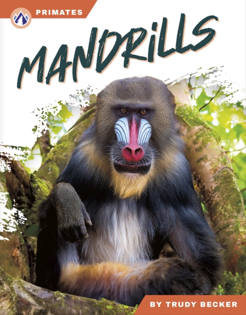Mandrills cover