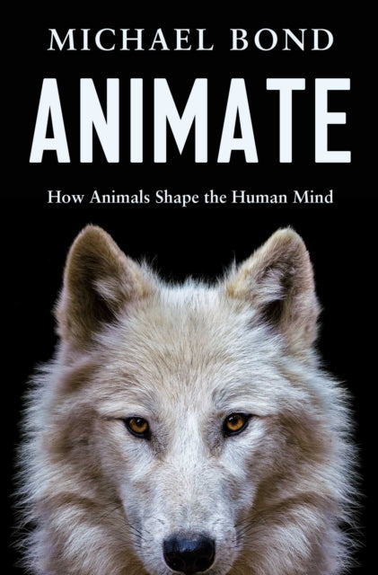 Animate cover
