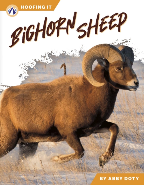 Bighorn Sheep cover