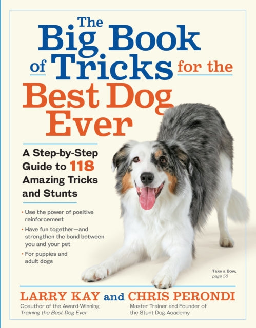 Big Book of Tricks for the Best Dog Ever: A Step-by-Step Guide to 118 Amazing Tricks and Stunts