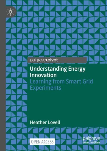 Understanding Energy Innovation: Learning from Smart Grid Experiments