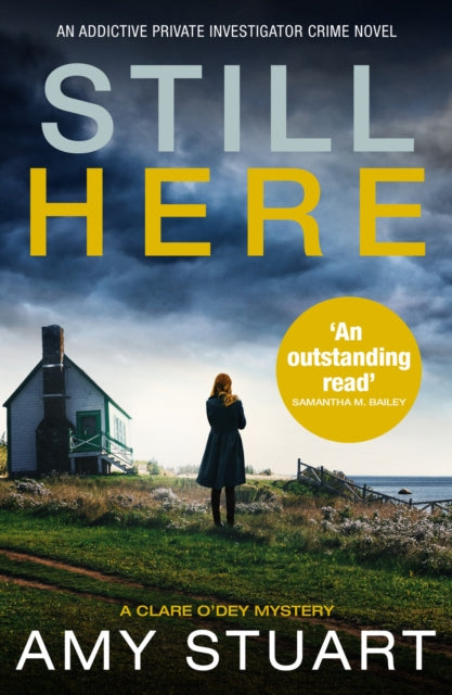 Still Here: An absolutely gripping private investigator crime novel