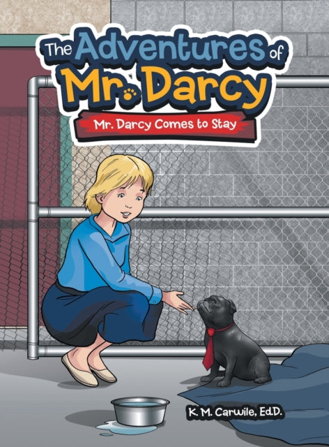 The Adventures of Mr. Darcy: Mr. Darcy Comes to Stay
