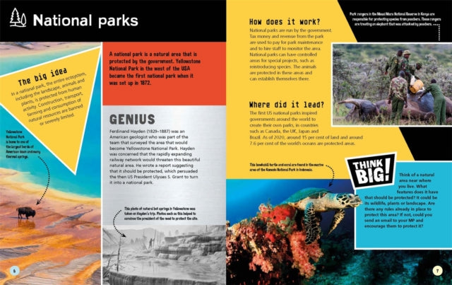 Think Big!: The Greatest Ideas in Conservation