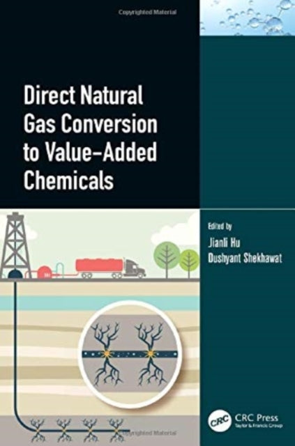 Direct Natural Gas Conversion to Value-Added Chemicals